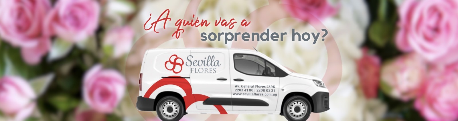 A quién vas a sorprender hoy?